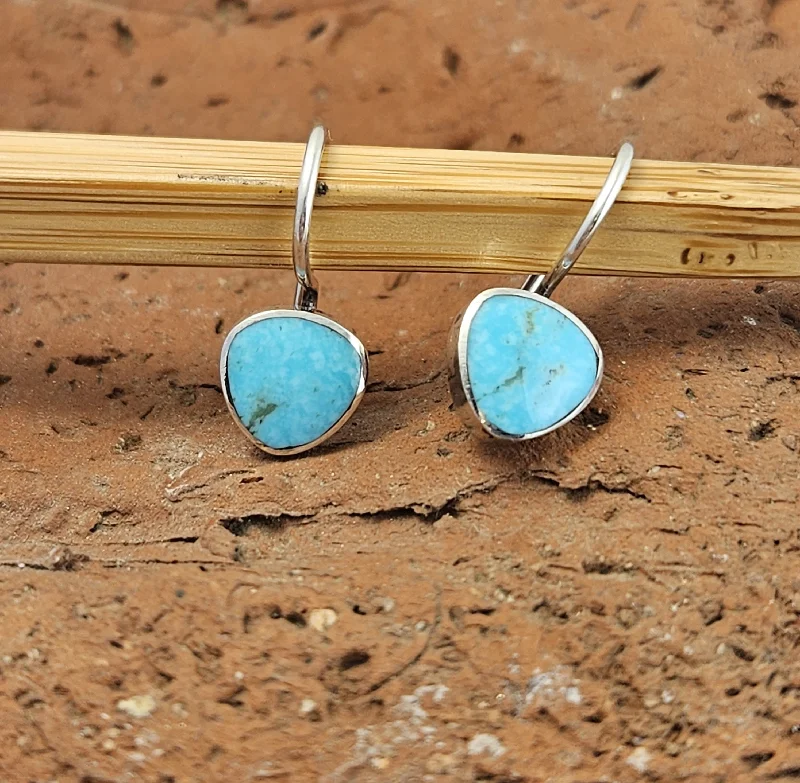 Modern Earrings With Natural Stones-Small Turquoise Drop Earrings with Sterling Silver Hooks